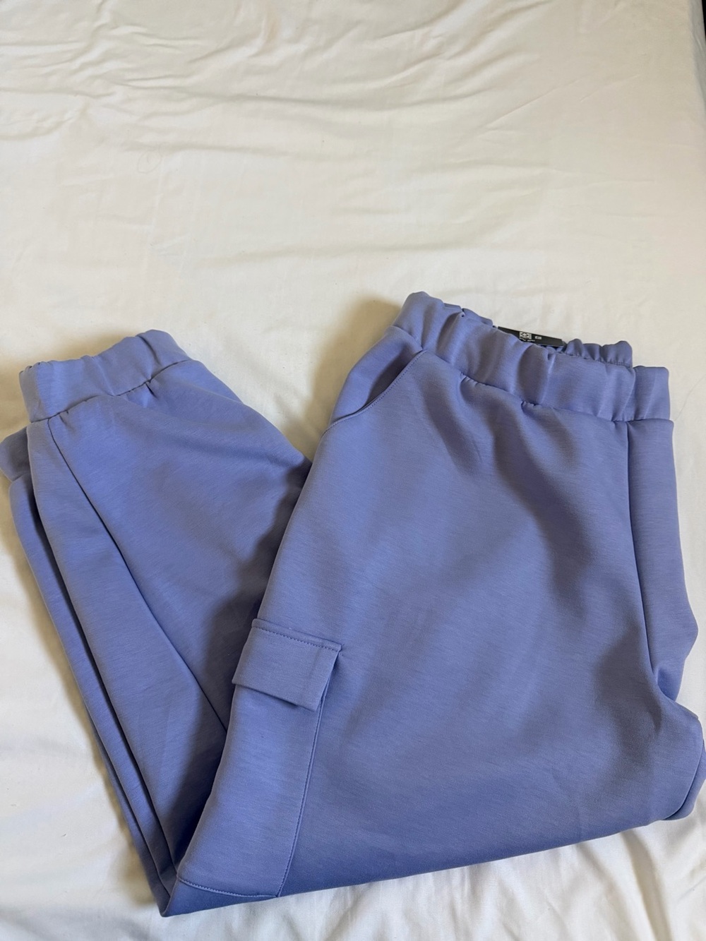 Express Women’s Lavender Cargo Joggers - Lavender